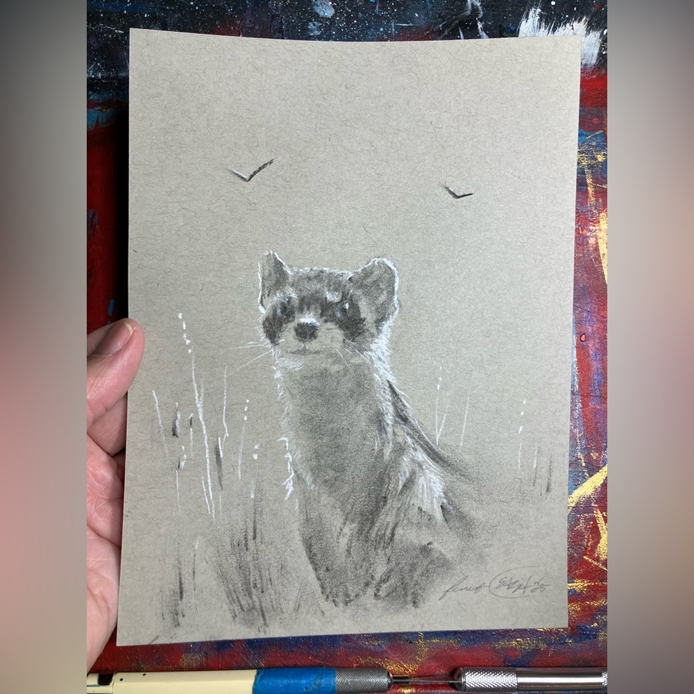 ORIGINAL Ferret painting charcoal pastel art animals pastels realism artwork USA